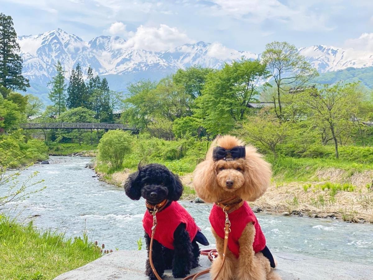 白馬パウダーマウンテン Hotel Hakuba Exterior photo